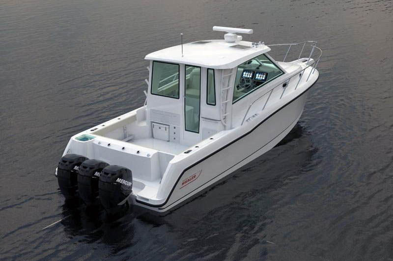 Boston Whaler Official UK Distributors